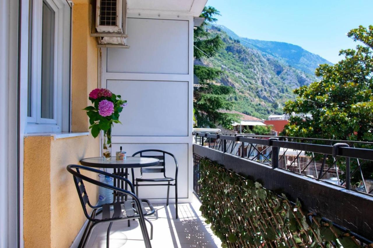 Campi D'Oro Apartment Kotor Ngoại thất bức ảnh